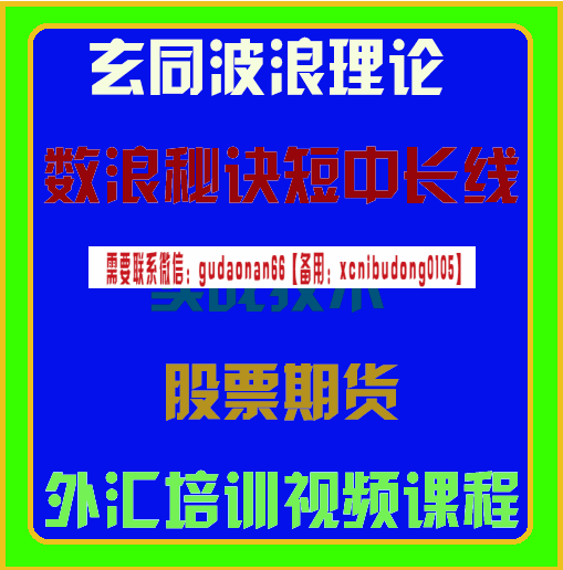 玄同波浪理论 数浪秘诀短中长线实战技术 股票期货外汇培训视频课程